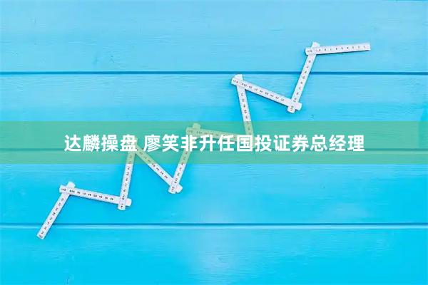 达麟操盘 廖笑非升任国投证券总经理